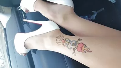 મૂળ તરીકે બિલાડીમાં ફ્લાય ઇન્ડિયન સેકસી કરો