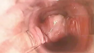 સુંદર વાસ્તવિક સસલું સેક્સ વિડિઓ ઘરે હિન્દી સેકસી વીડીયો હિનદી સેકસી વીડિયો