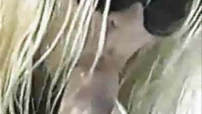 સક્શન ત્રીપલ સેકસી અને કમ માં પેન્ટીઝ