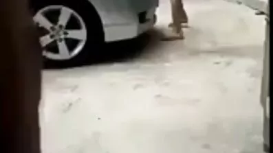 કિસિંગ આ ગાય્સ માં વાહિયાત ઘર સાથે ખાવું બિલાડી ગુજરાતી સેકસી વીડિયો ગુજરાતી